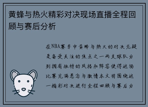 黄蜂与热火精彩对决现场直播全程回顾与赛后分析